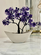 Miniature Tree planter for Home and Office Decor